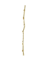 The Curb Chain